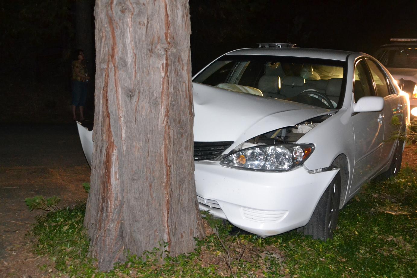 Car Crashes Into Tree Near Bass Lake | Sierra News Online