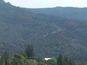 July 30 photo by Lisa Clark, saying this is where the war will start. Dozer and retardant line. Take from second command post in Putney Ranch.