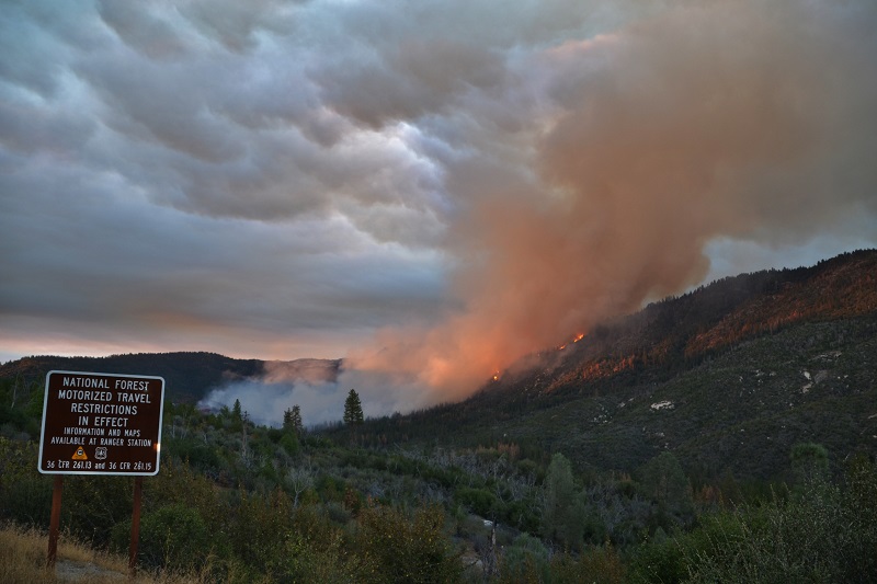 Willow Fire Human Caused, Juvenile Identified Sierra News Online