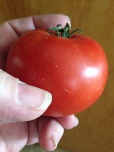 Tomato photo by Kellie Flanagan