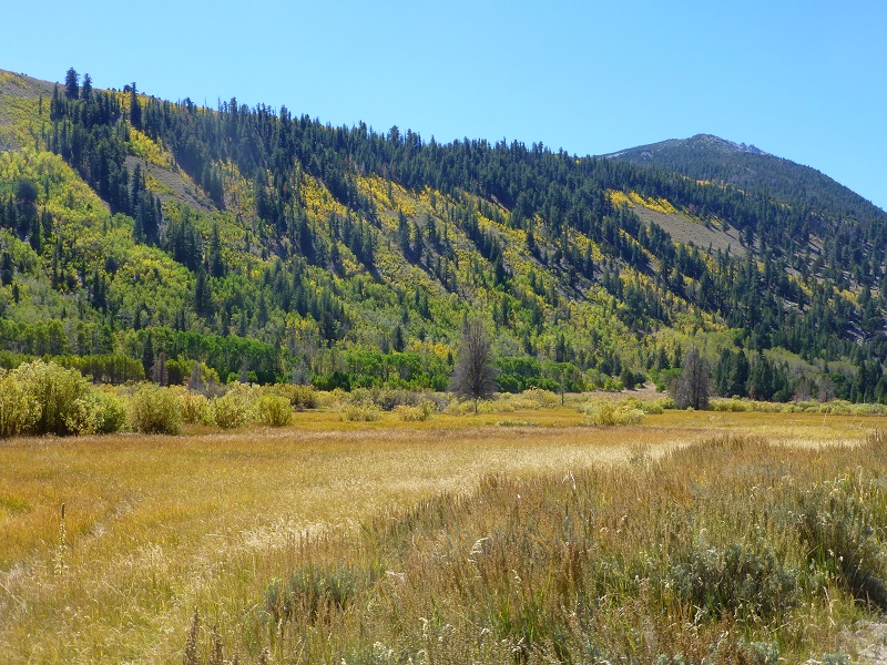 Upper End of the Beaver Ponds