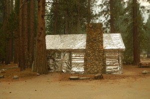 Sentinal Campground Vc Cedar Grove - photo SNF