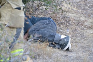 Man sleeping under a bush after crash on Road 222