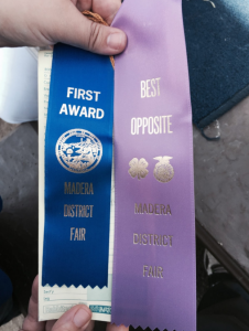 Minarets FFA Madera Fair 2015 5 photo submitted by Victoria Whitely