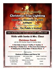 Christmas Tree Lighting 2015