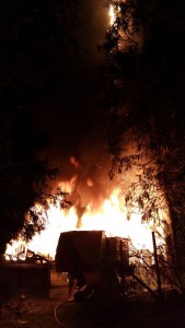 Dorstan Lane fire ignites tree