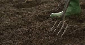 Pitchfork in soil - image provided by Mariposa Master Gardeners
