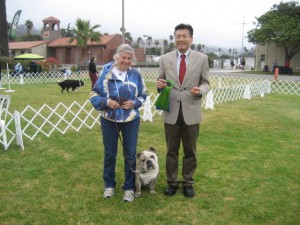Betty Fisher and Larri, Awarded 1st place beginning novice, Bulldog Club of America, Ventura, July 2014