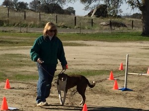 Lois Deisher and her dog practicing course