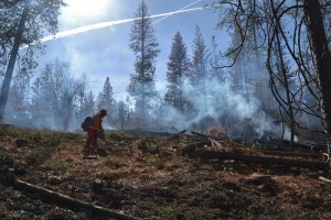 Mount Bullion Crew working Cascadel Fire - photo by Gina Clugston