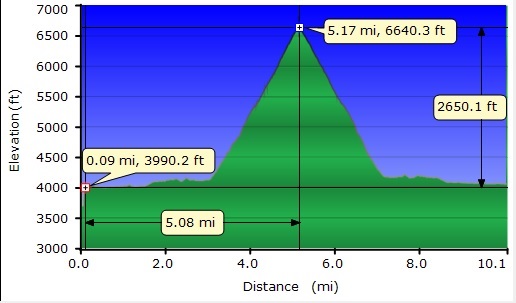 Snow Creek Hike Profile