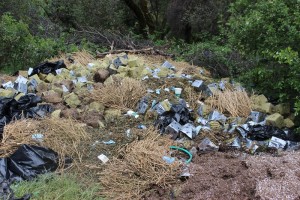 Trash from pot grow - photo Madera Sheriff