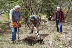 Larry Amerjan, Isaiah Gibson and Vernon Tallmon, Scalping planting spot - photo courtesy Dave Smith