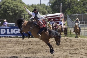 Rodeo by Carrie Jenkins - IMG_1917