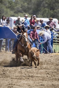 Rodeo by Carrie Jenkins - IMG_2133