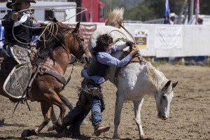 Rodeo by Carrie Jenkins - IMG_2219