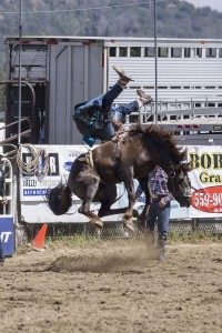 Rodeo by Carrie Jenkins - IMG_2233