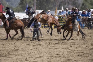 Rodeo by Carrie Jenkins - IMG_2309