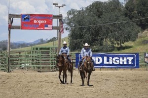 Rodeo by Carrie Jenkins - IMG_2816