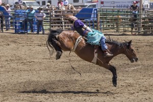 Rodeo by Carrie Jenkins - IMG_3007