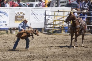 Rodeo by Carrie Jenkins - IMG_3354