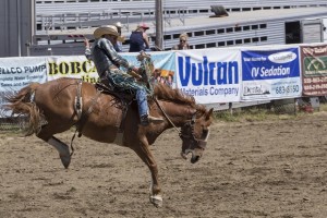 Rodeo by Carrie Jenkins - IMG_3677