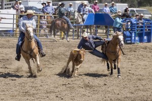 Rodeo by Carrie Jenkins - IMG_3739