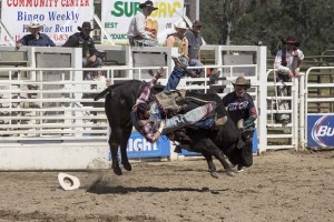 Rodeo by Carrie Jenkins - IMG_4408