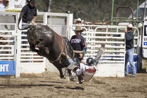 Rodeo by Carrie Jenkins - IMG_4575
