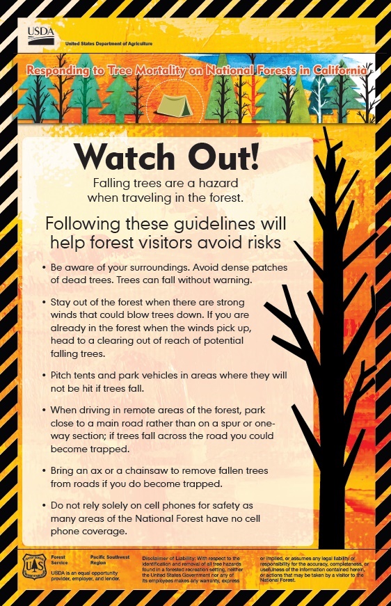 Watch Out - Tree hazard