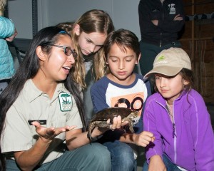Western Pond Turtle - photo courtesy San Francisco Zoo and Marianne Hale