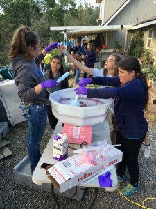 Coarsegold 4-H Girls making cotton candy to sell at the rodeo. Full Shot Credit Carrie Jenkins