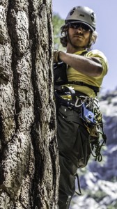 SAR_High_line_rescue_technique_-_SAR_team_member_anchored_to_tree_-_Photo_by_Virginia_Lazar
