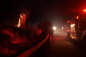 Stump burning on Road 200 fire - photo by Gina Clugston