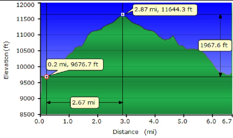 Dana Plateau Profile