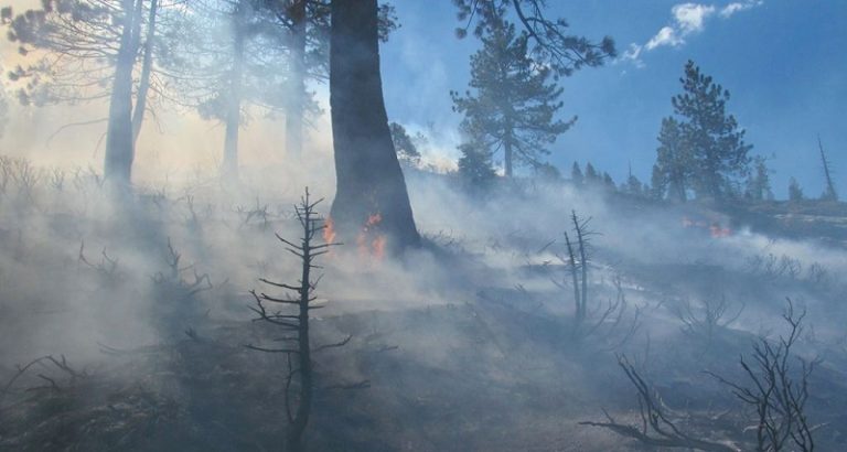 Prescribed Burning Ops Continue On Sierra National Forest