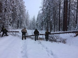 mcso-rescue-sunday-nov-27-2016-chilkoot-campground-moving-trees-out-of-the-way-courtesy-mcso