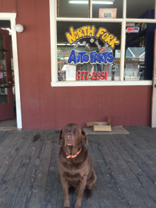 north-fork-auto-parts-exterior-with-dog-2016-lisa-clark