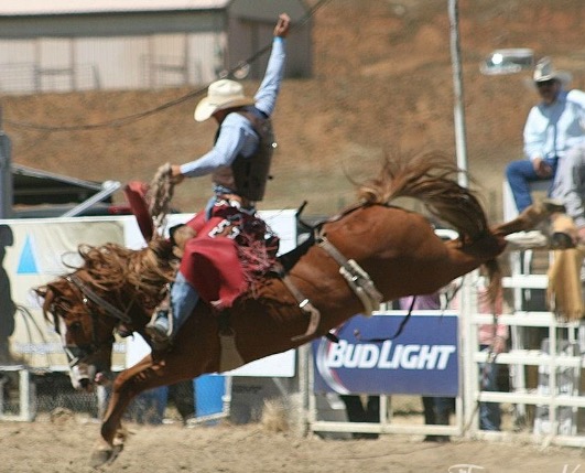 Coarsegold Rodeo Meeting