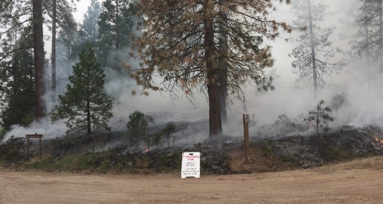 Prescribed Burning To Resume On Bass Lake Ranger District