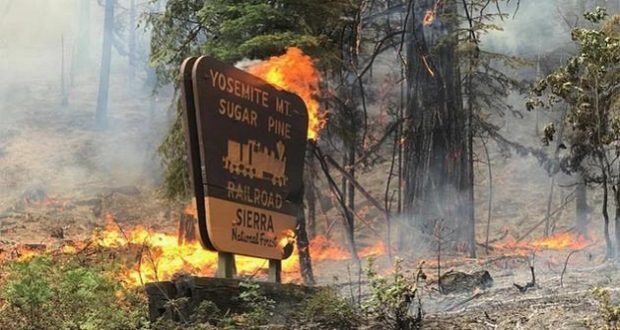 Incendios en Yosemite: actualizaciones - Forum West Coast of USA