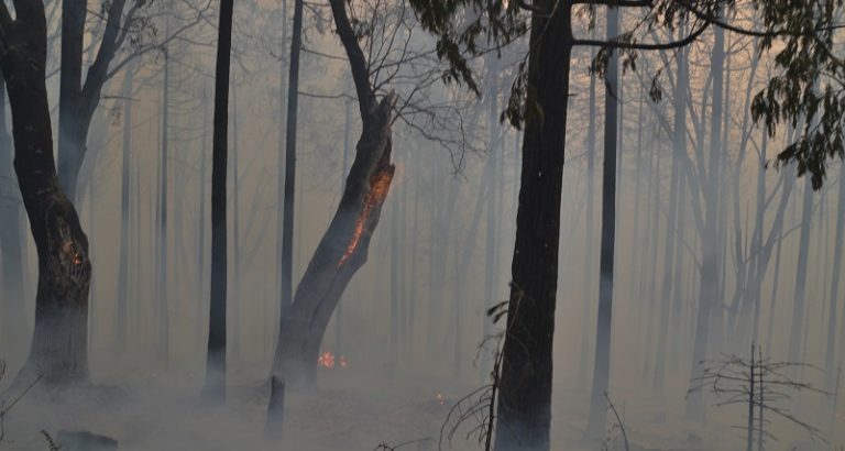 Forest Closure On Bass Lake Ranger District Due To Railroad Fire