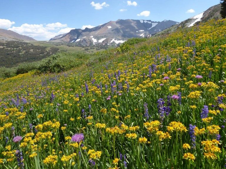 Hiking up to Mono Pass Trail’s High Lakes