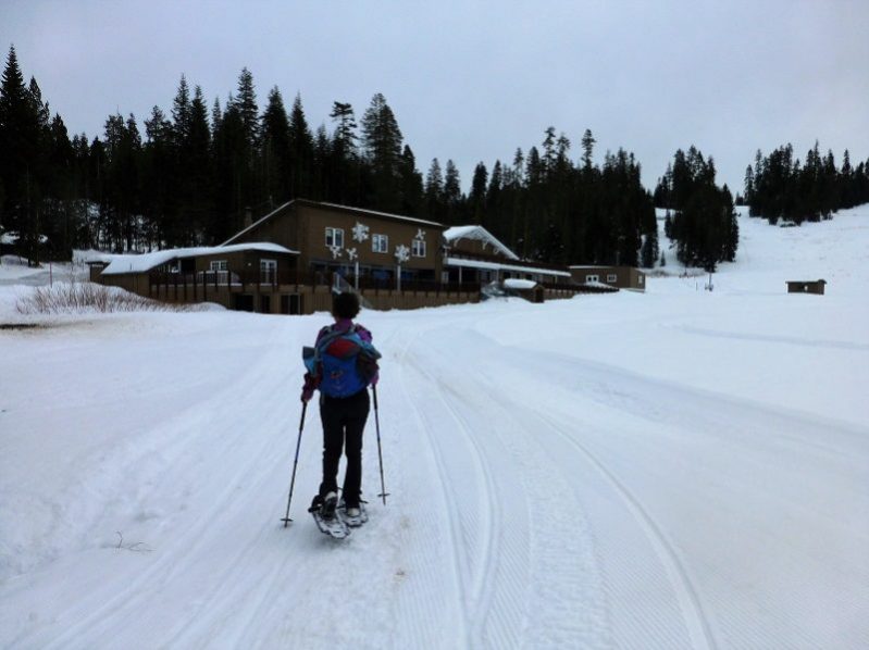 Snowshoeing from Chinquapin to Monroe Meadow aka Badger Pass aka