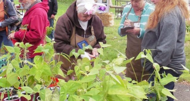 Become A Master Gardener And Keep Local Information Alive Sierra