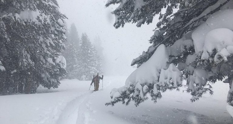 New Snow, 97 Inches: Tuolumne Winter Rangers Report