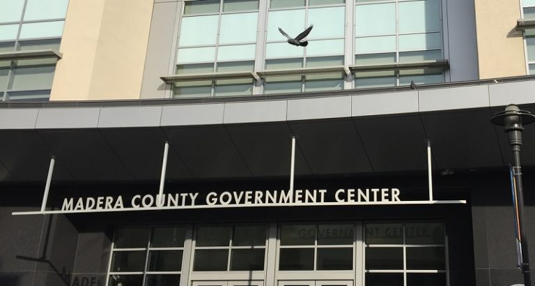 County Hatches Plan to Combat Pigeon Problem