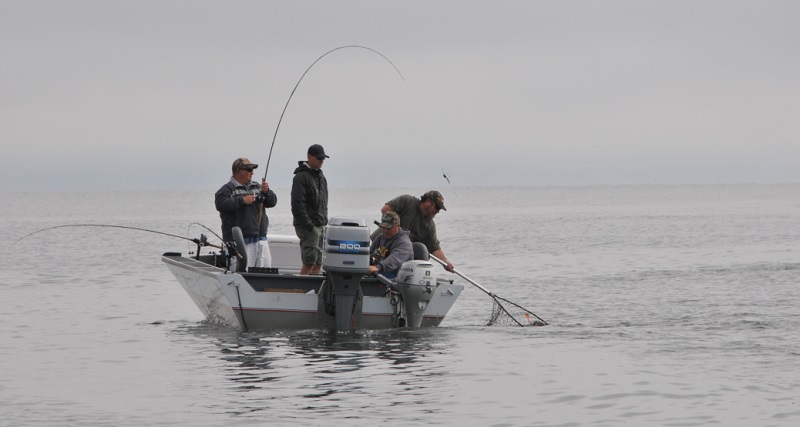 Catch A Break: Saturday Is Free Fishing Day In California | Sierra News