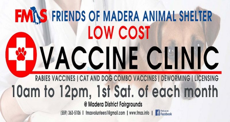 FMAS Low Cost Shot Clinic For Dogs And Cats