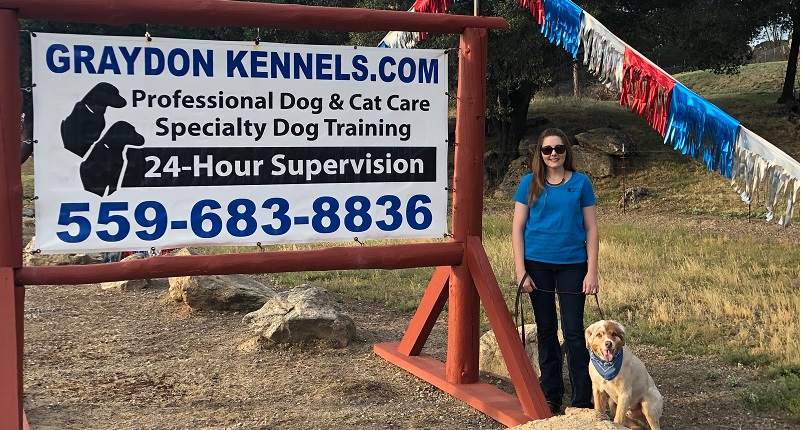 24 hour kennels near me